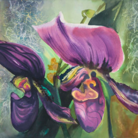 Black Orchid by Phiris Sickels