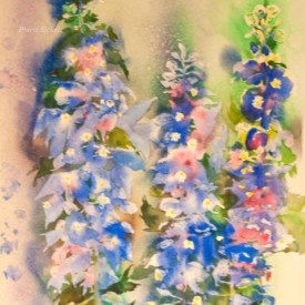 Delphiniums by Phiris Sickels