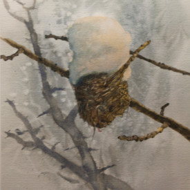 Empty Nest by Phiris Sickels