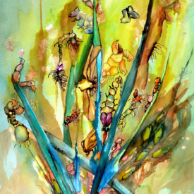 Insecticide by Phiris Sickels