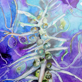 Sprouts by Phiris Sickels